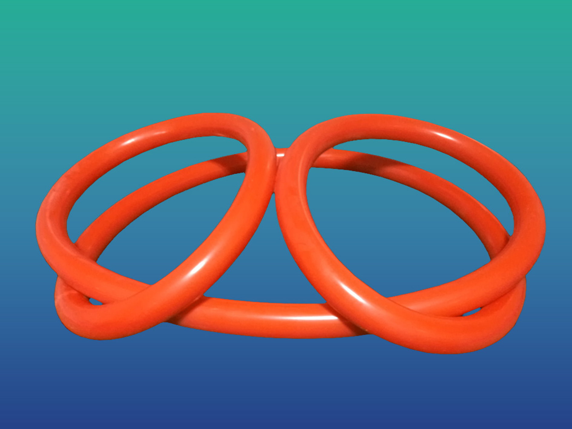 autoclave-door-gaskets