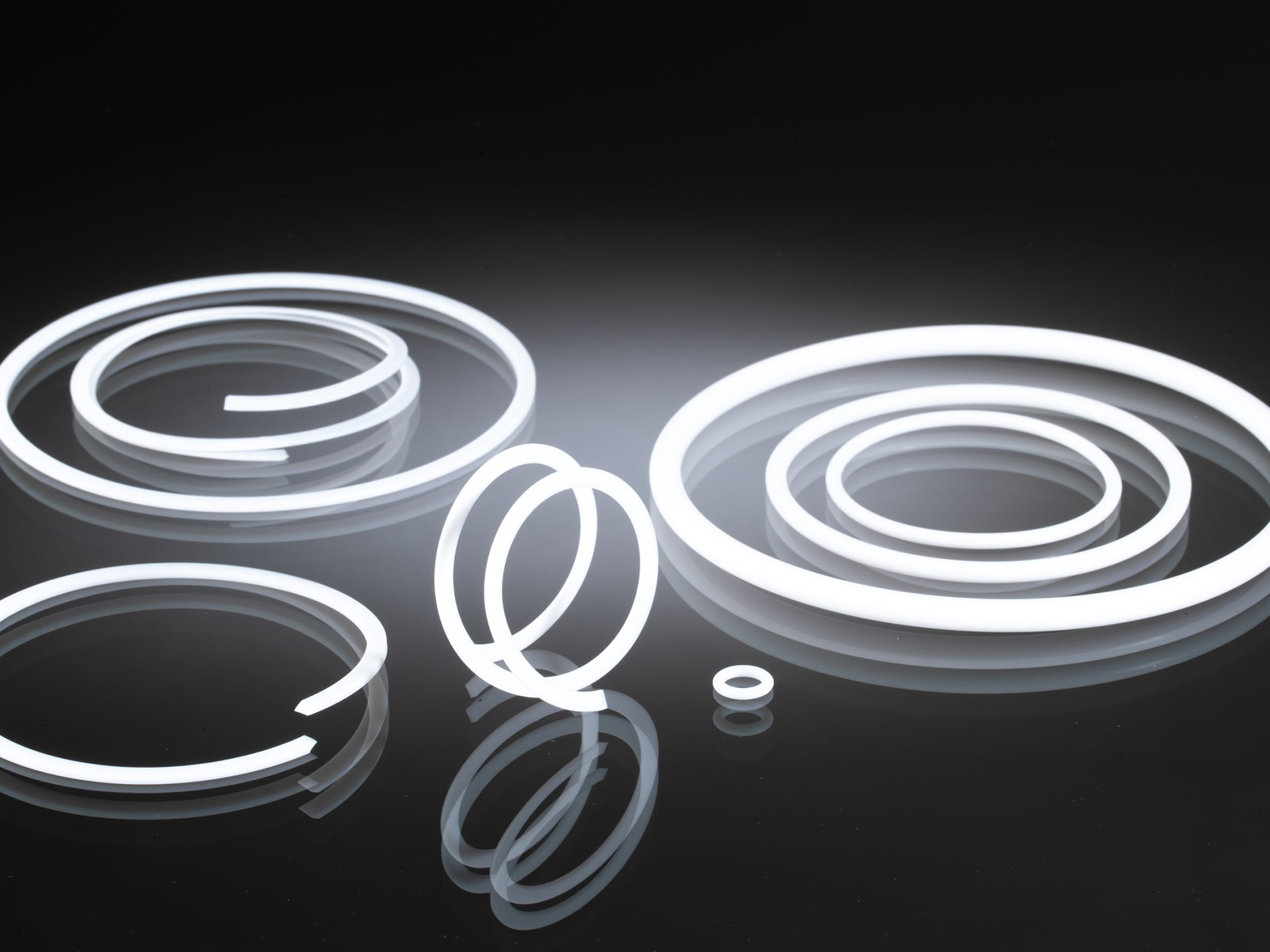 ptfe-o-ring